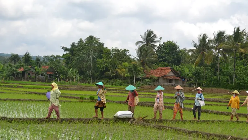 Aktivitas di Desa Ganting 2